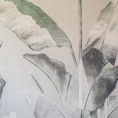 Jasminum 4* 比比翁